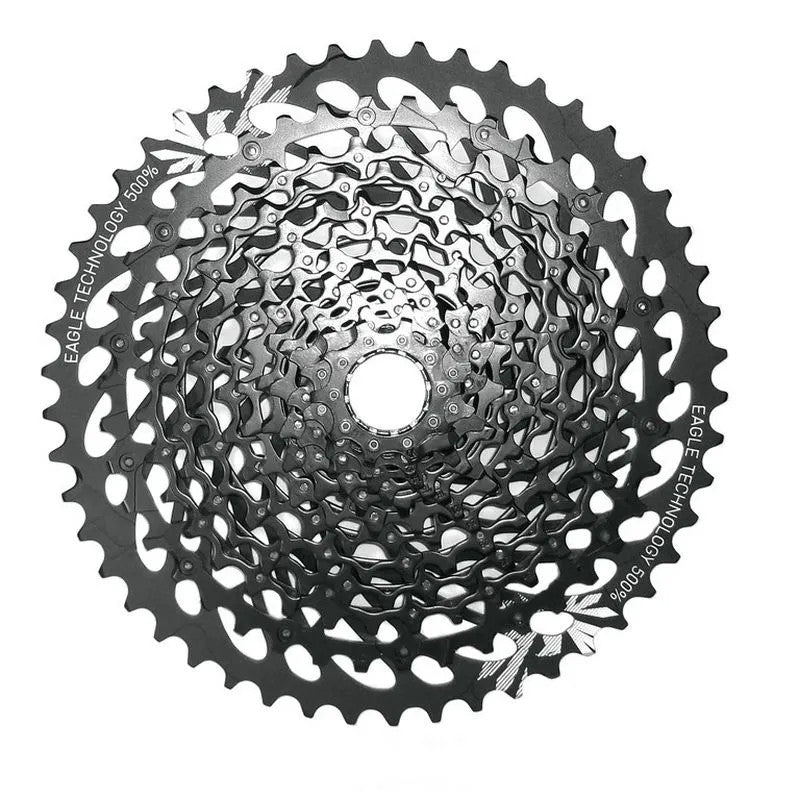 100254