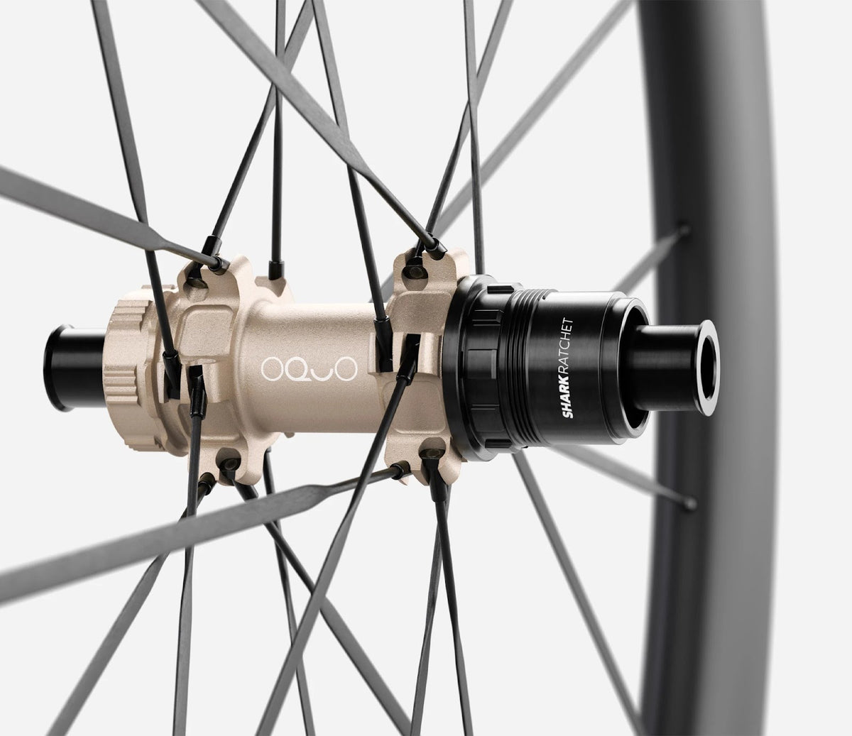 O1960043