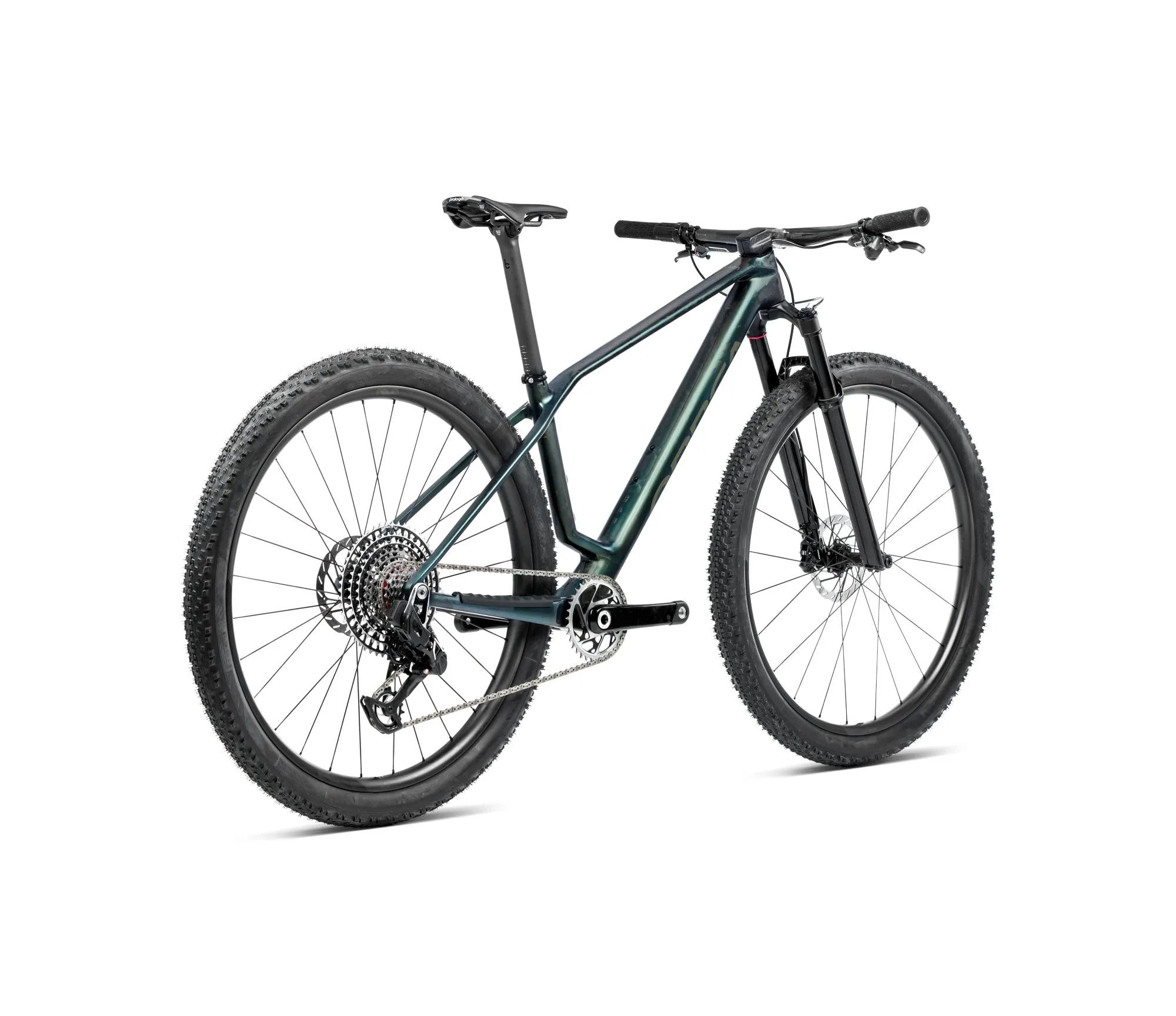 S222TTCC-FA-BACK-ALMA_MLTD