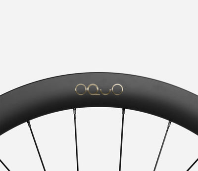 back-oquo-rp50ltd